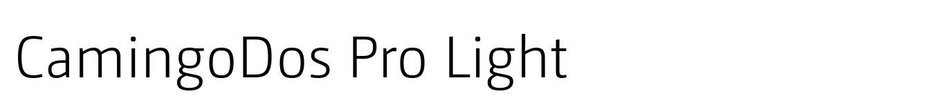 CamingoDos Pro Light